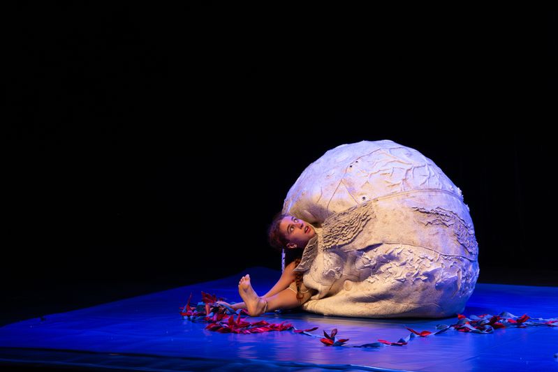 Teatro 4Garoupas „CHIFFONADE“