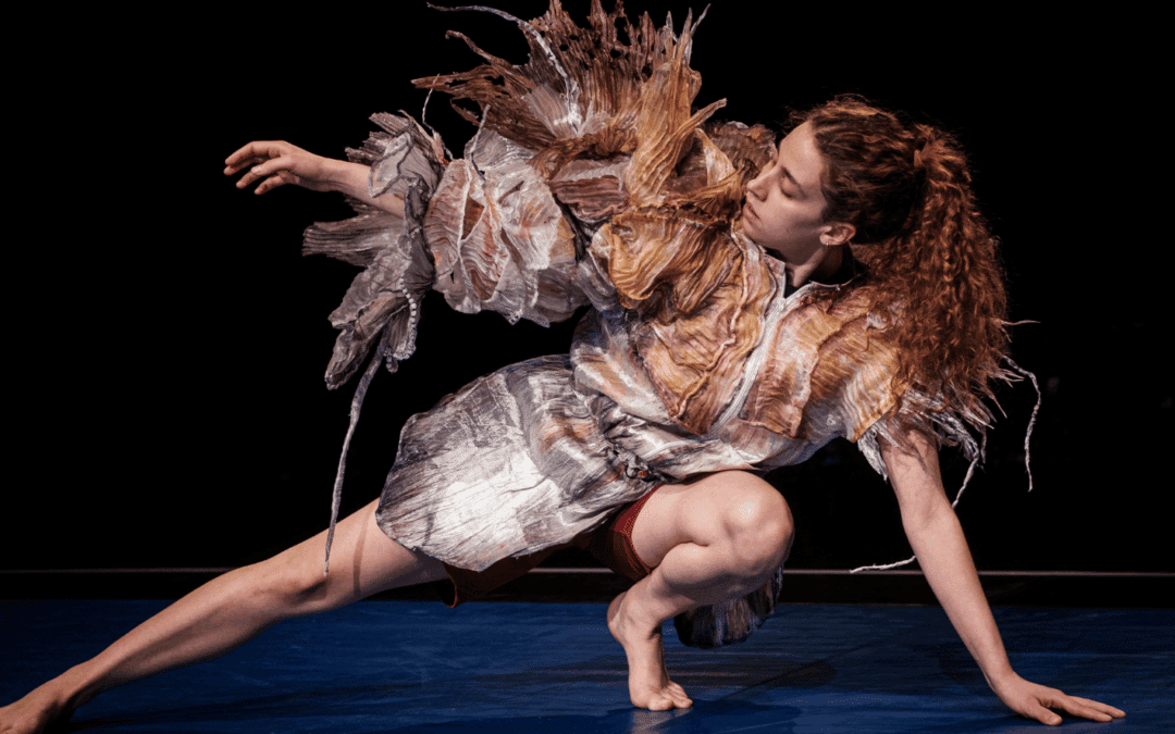 Teatro 4Garoupas „BLOOOM“