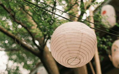 SommerJUBEL – wir feiern ein Gartenfest!